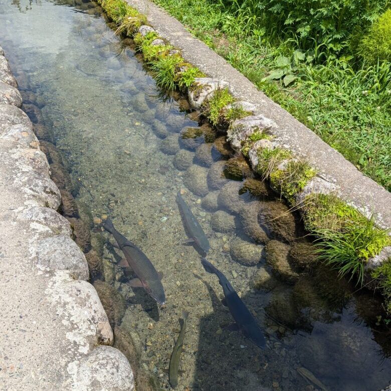 白川郷　夏