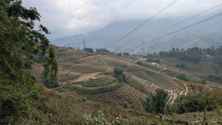 sapa