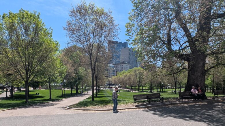 Boston common
