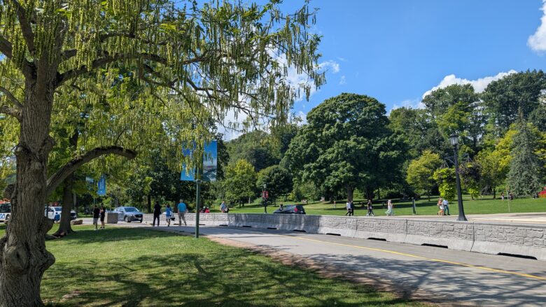 ナイアガラシティ